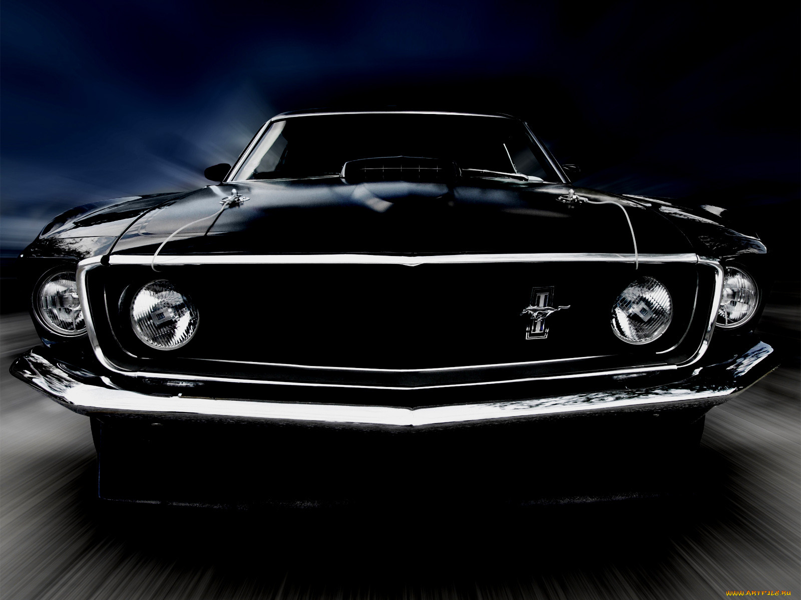 , mustang